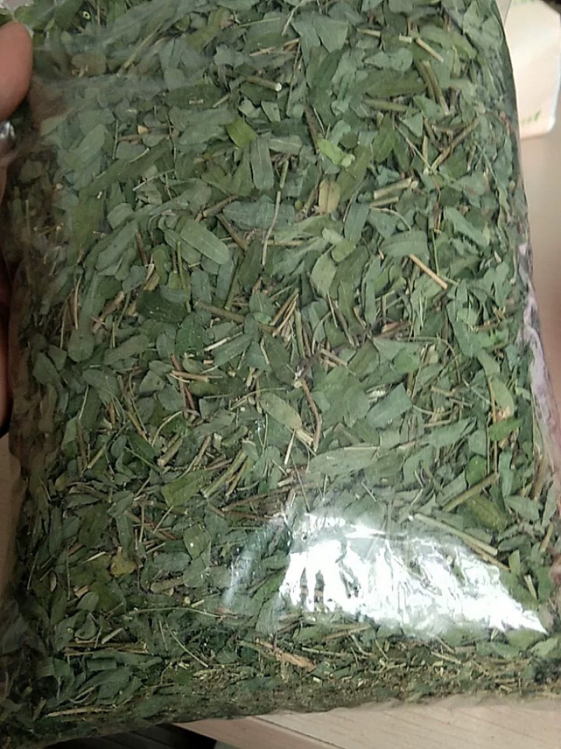 厂家直销晒干的新鲜干净青绿广西鸡骨草藤