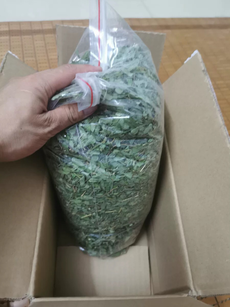 厂家直销晒干的新鲜干净青绿广西鸡骨草藤