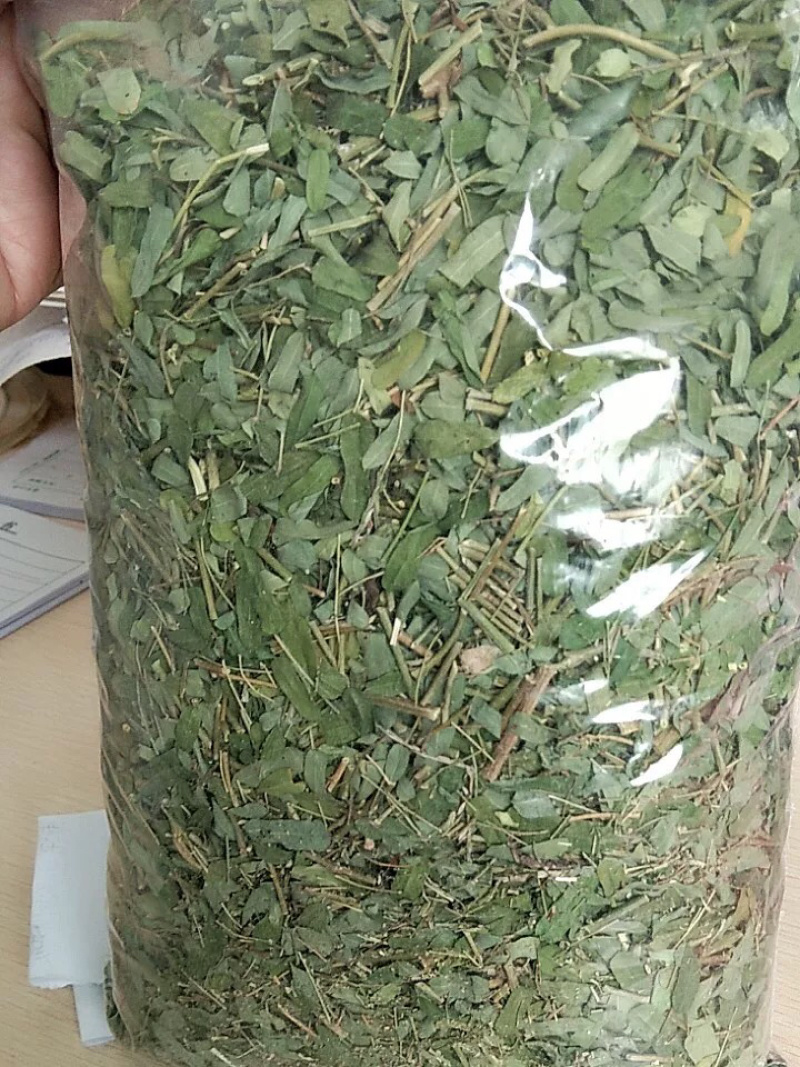 厂家直销晒干的新鲜干净青绿广西鸡骨草藤
