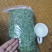 厂家直销晒干的新鲜干净青绿广西鸡骨草藤