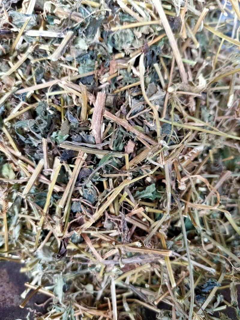 野生中药材绞股蓝药用绞股蓝七叶参七叶胆