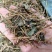 野生中药材绞股蓝药用绞股蓝七叶参七叶胆