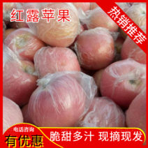 红露苹果产地一手货源，囗感好价格便宜颜色好果园