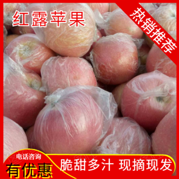 红露苹果产地一手货源，囗感好价格便宜颜色好果园看货