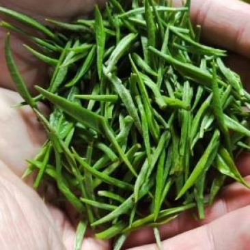 湖北绿茶,高山绿茶,新品秋茶250g,道教好茶