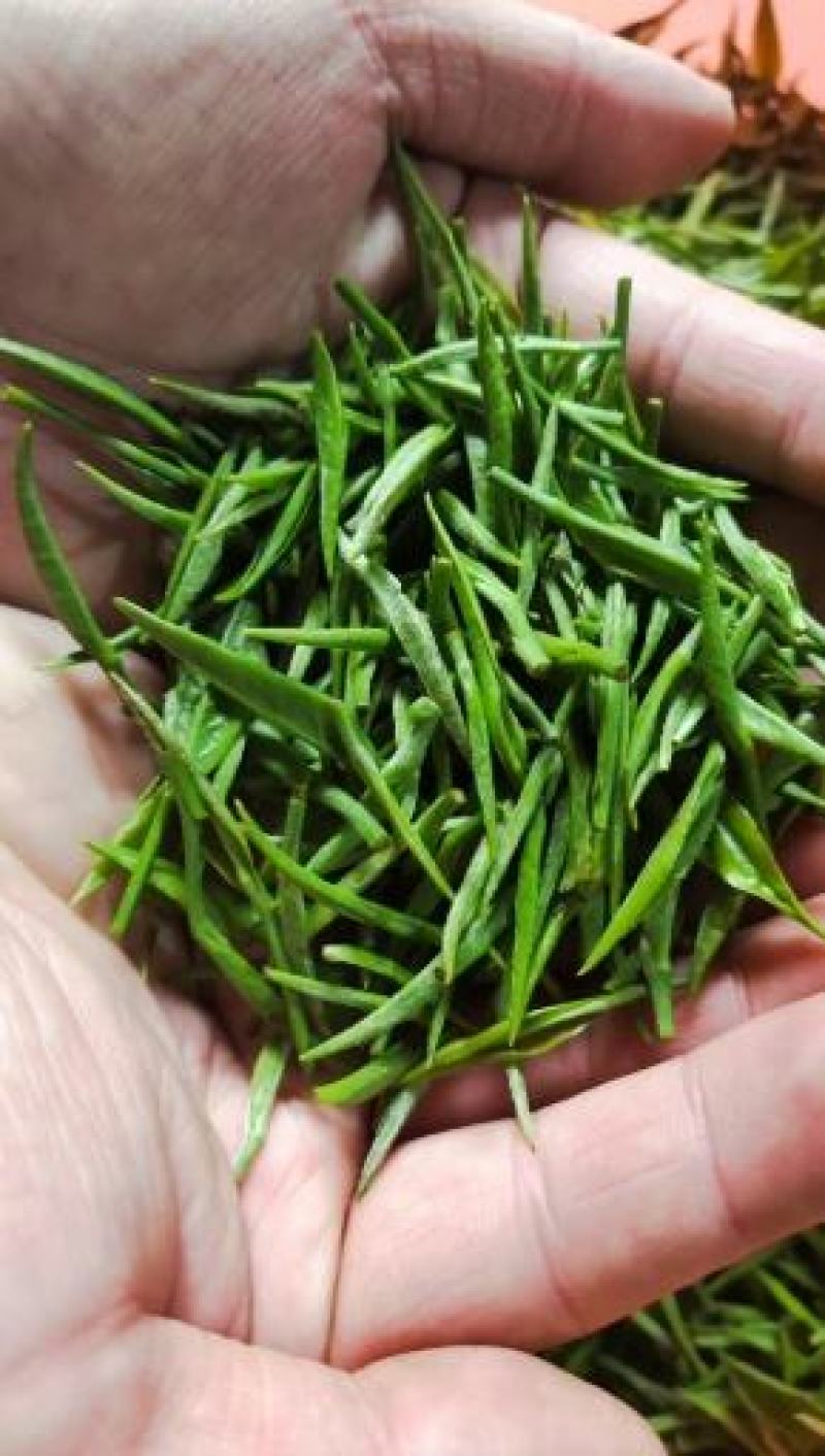 湖北绿茶,高山绿茶,新品秋茶250g,道教好茶