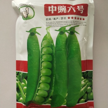 豌豆种子台湾长寿仁中碗六号高产大田专用品种