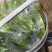 漳州甜杨桃孕妇不二选的水果果大水分充足