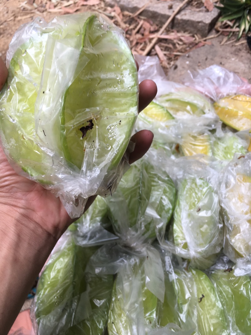 漳州甜杨桃孕妇不二选的水果果大水分充足