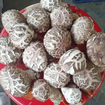 湖北花菇,优质干香菇,助农湖北,基地直销,向兴农业香菇