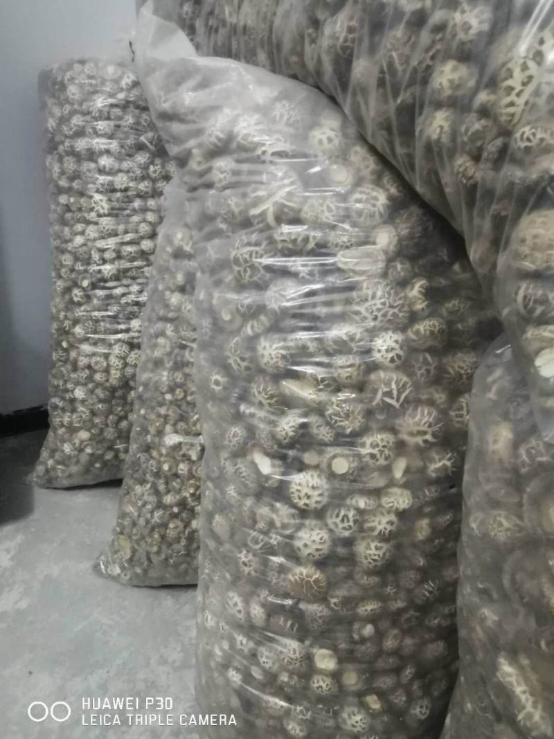 湖北花菇,优质干香菇,助农湖北,基地直销,向兴农业香菇