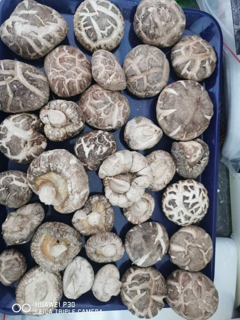 湖北花菇,优质干香菇,助农湖北,基地直销,向兴农业香菇