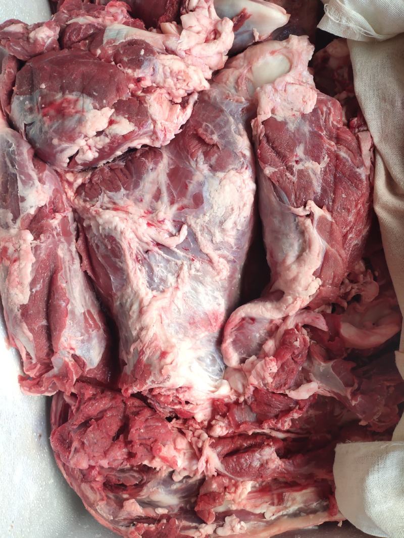 纯干鲜牛肉每天鲜宰一手货源