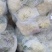 菜花上市，欢迎客户前来视察、咨询合作采购。