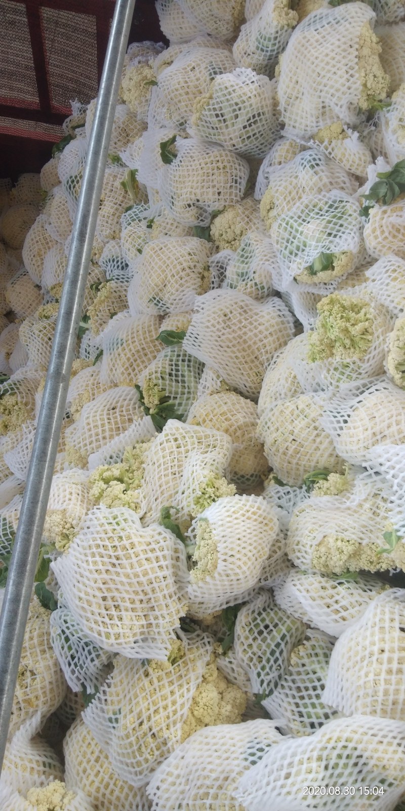 菜花上市，欢迎客户前来视察、咨询合作采购。