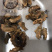 分心木核桃分心木夹心木隔心木分心木实物拍摄