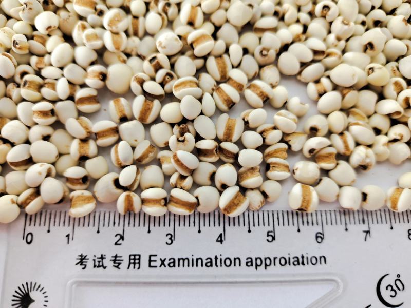 贵州薏仁米包化验产地直销