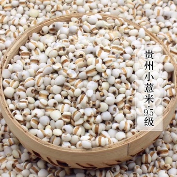 贵州薏仁米包化验产地直销