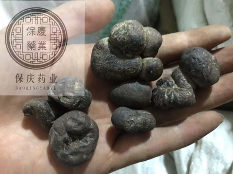 雷丸雷实竹铃芝木连子保庆药业批发雷丸