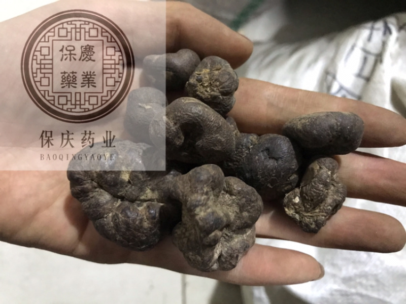 雷丸雷实竹铃芝木连子保庆药业批发雷丸