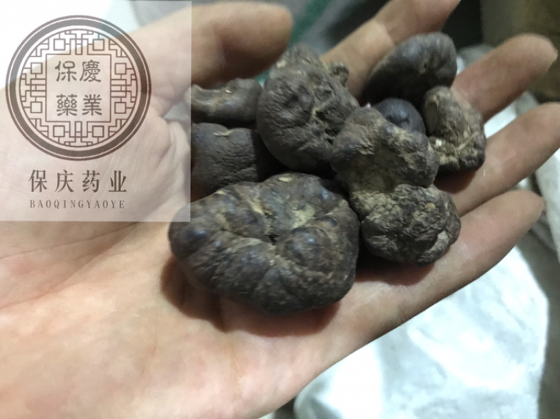 雷丸雷实竹铃芝木连子保庆药业批发雷丸
