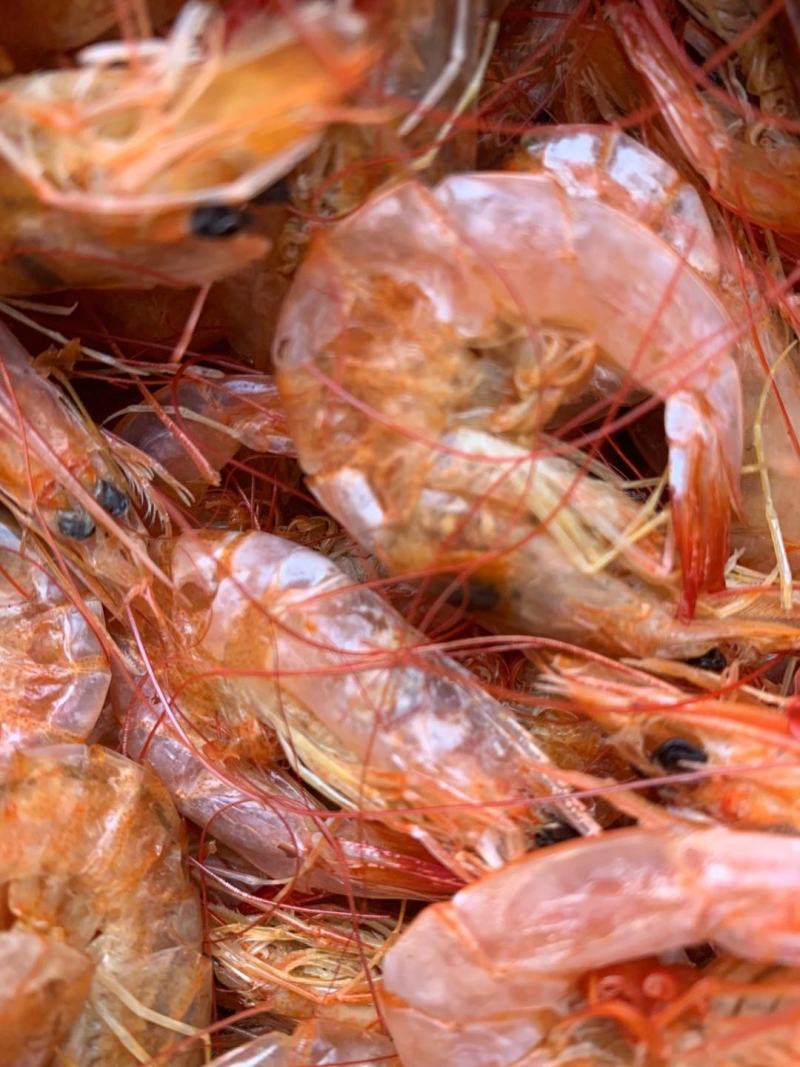 优质对虾，渤海湾特产是你馈赠佳品