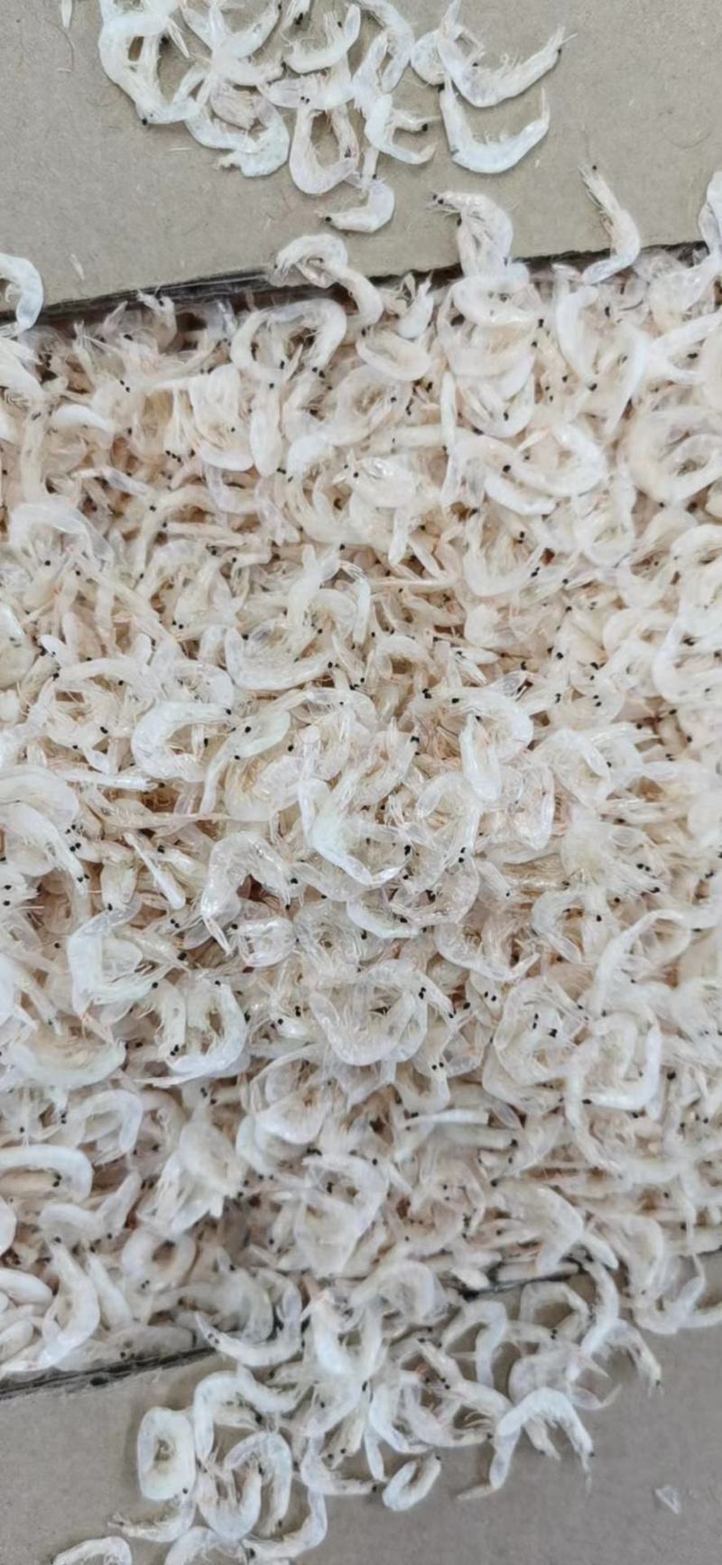 渤海湾优质特产，补钙神器……虾皮