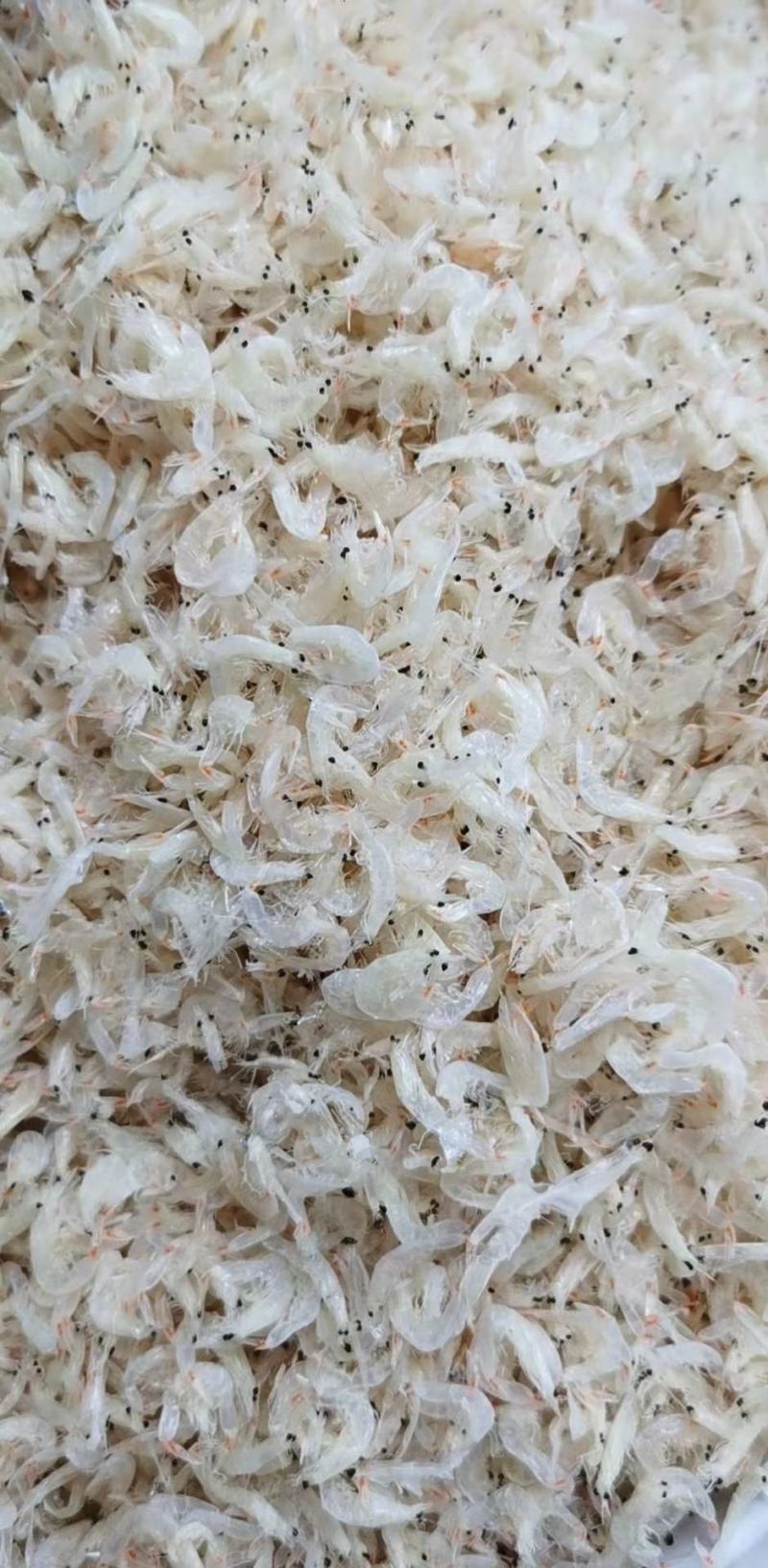 渤海湾优质特产，补钙神器……虾皮