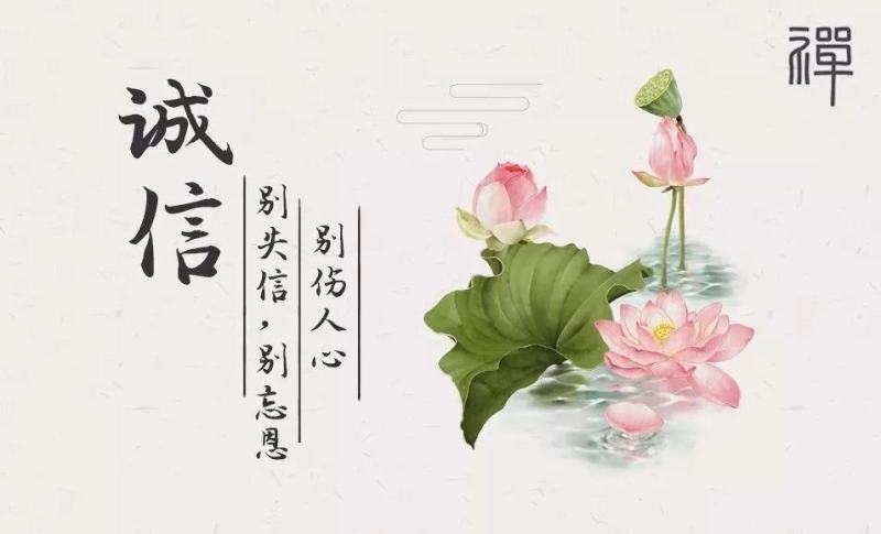 南极磷虾网红虾补钙神器……深海优质磷虾