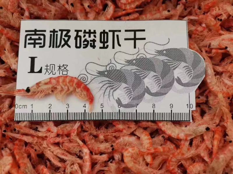 南极磷虾网红虾补钙神器……深海优质磷虾