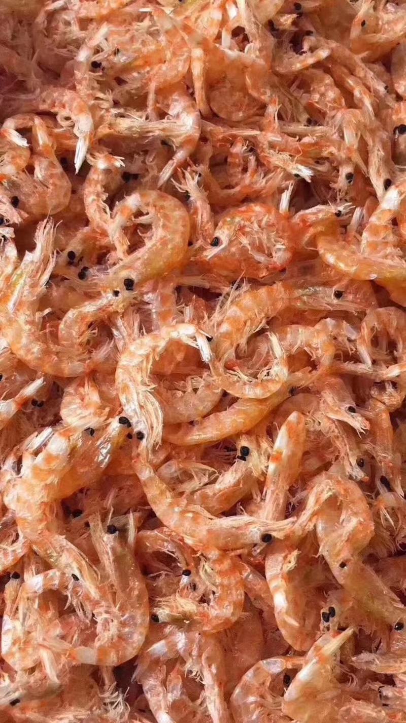 南极磷虾网红虾补钙神器……深海优质磷虾