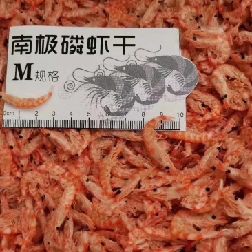 南极磷虾网红虾补钙神器……深海优质磷虾