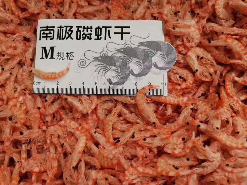 南极磷虾网红虾补钙神器……深海优质磷虾