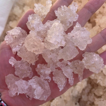 雪燕拉丝雪燕植物燕窝产地直销大量现货