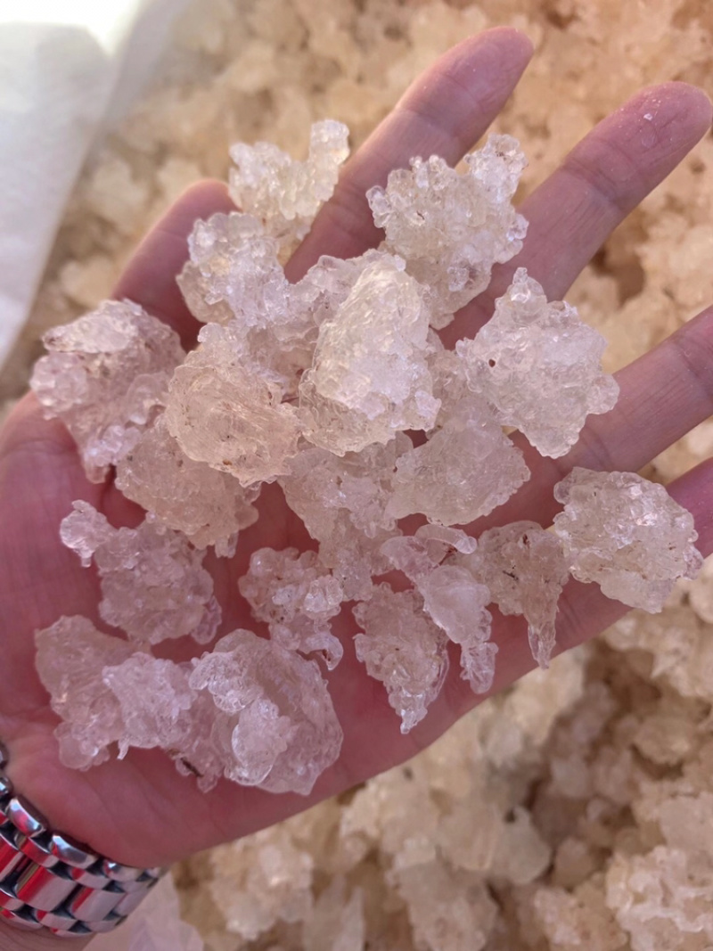 雪燕拉丝雪燕植物燕窝产地直销大量现货