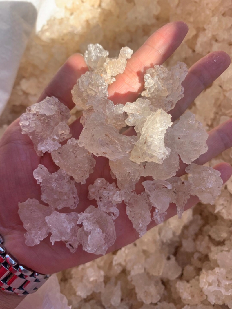 雪燕拉丝雪燕植物燕窝产地直销大量现货