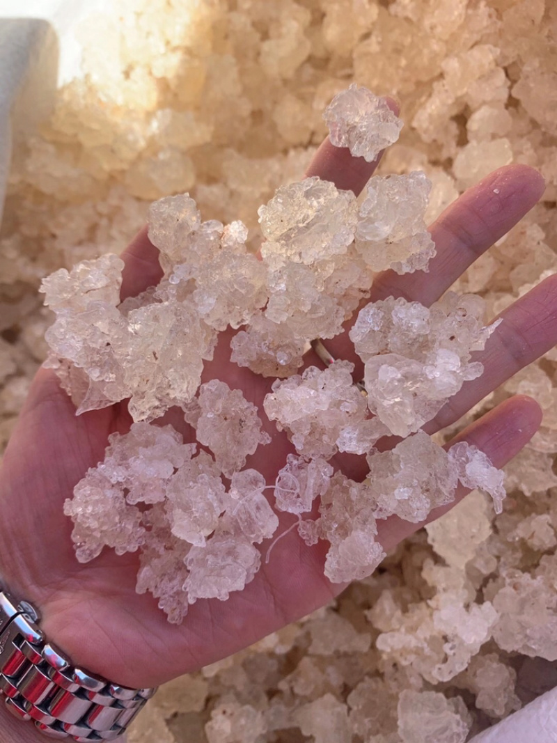 雪燕拉丝雪燕植物燕窝产地直销大量现货