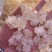 雪燕拉丝雪燕植物燕窝产地直销大量现货