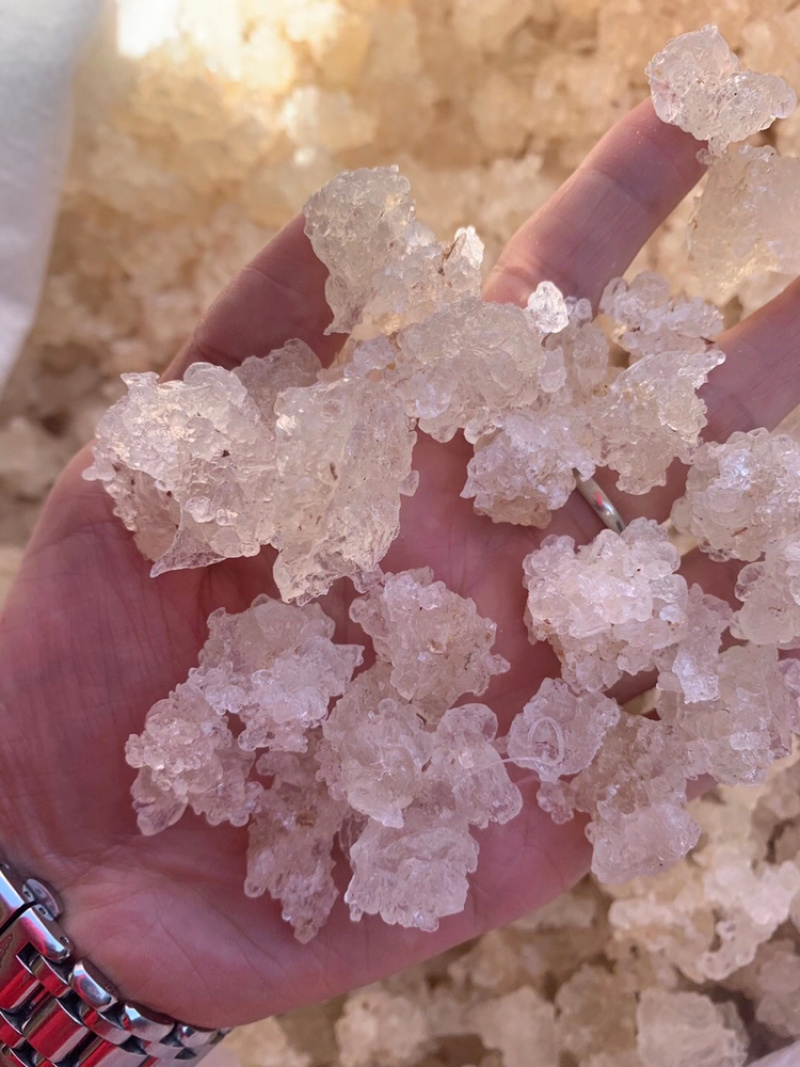 雪燕拉丝雪燕植物燕窝产地直销大量现货