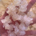 雪燕拉丝雪燕植物燕窝产地直销大量现货