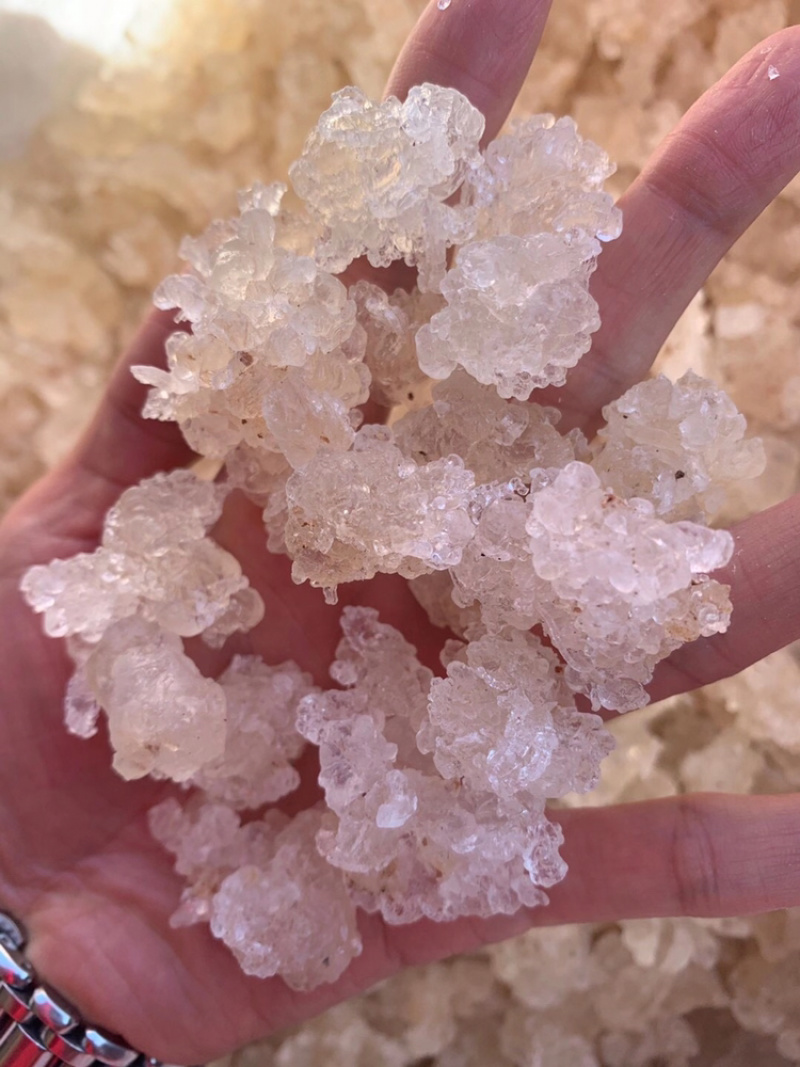 雪燕拉丝雪燕植物燕窝产地直销大量现货