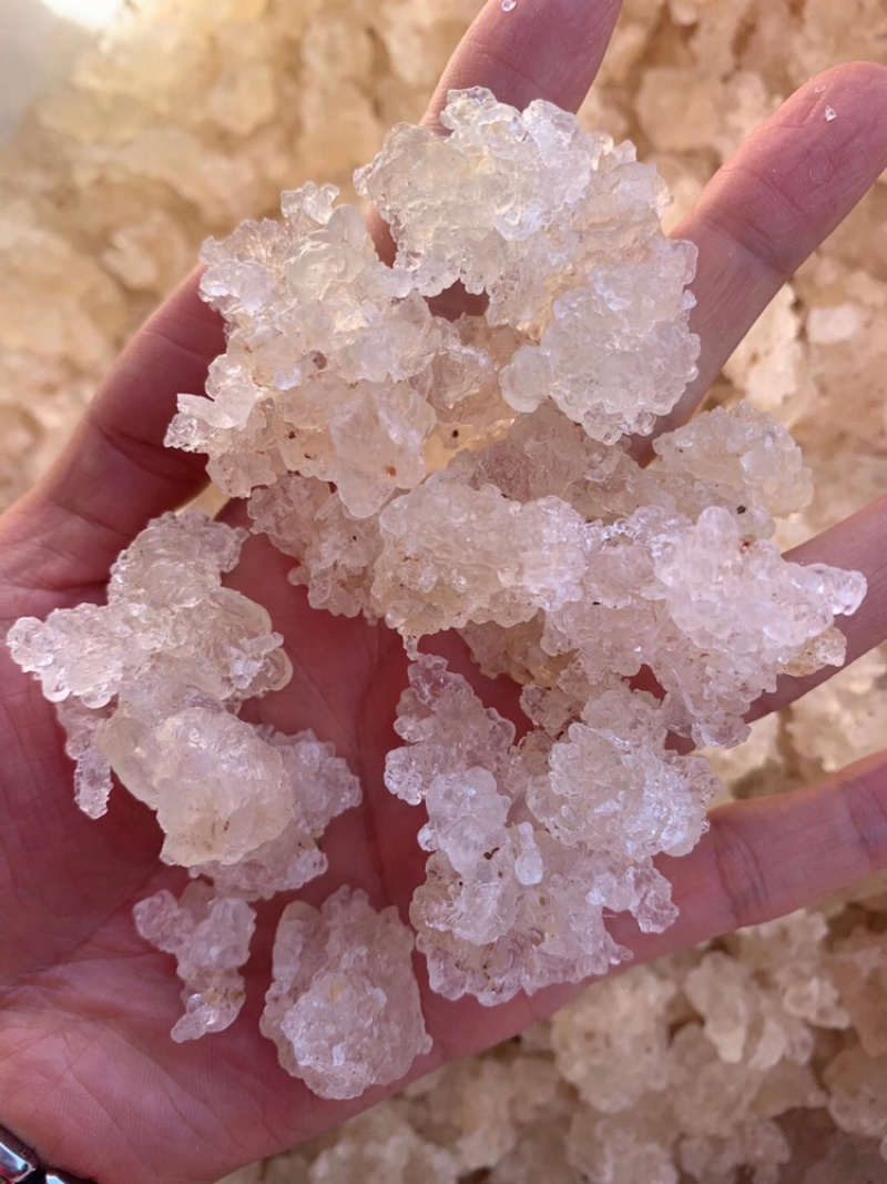 雪燕拉丝雪燕植物燕窝产地直销大量现货