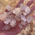 雪燕拉丝雪燕植物燕窝产地直销大量现货