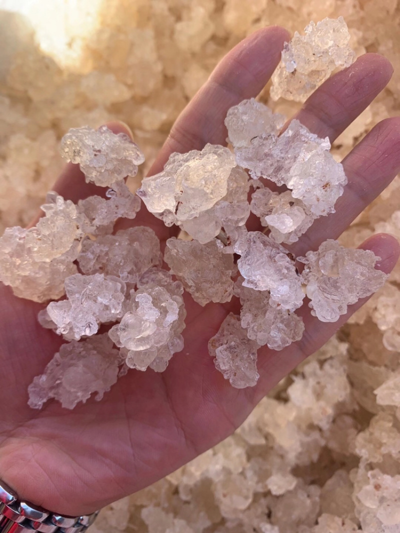 雪燕拉丝雪燕植物燕窝产地直销大量现货