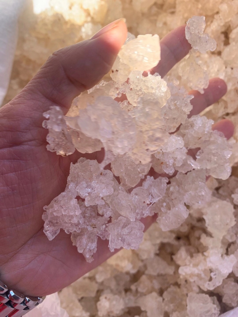 雪燕拉丝雪燕植物燕窝产地直销大量现货