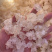 雪燕拉丝雪燕植物燕窝产地直销大量现货