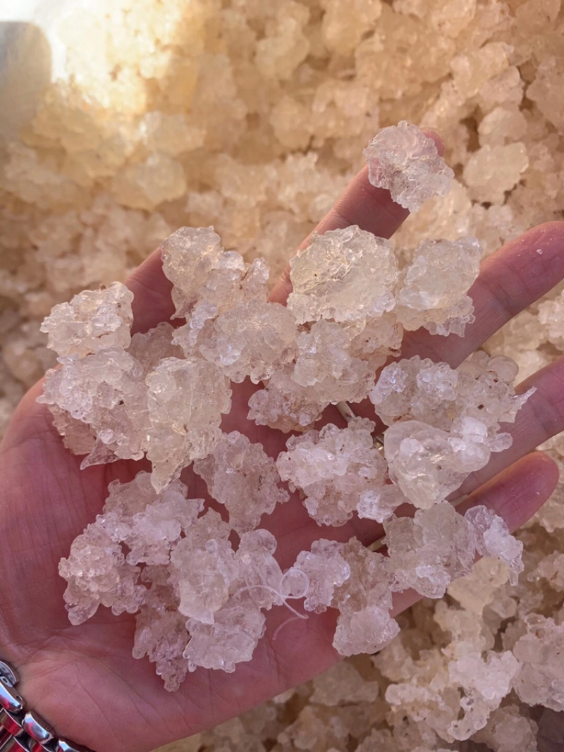 雪燕拉丝雪燕植物燕窝产地直销大量现货