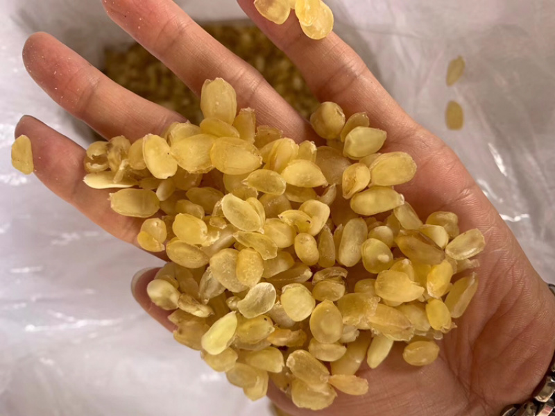 皂角米雪莲子双夹无硫无糖产地直销大量现货