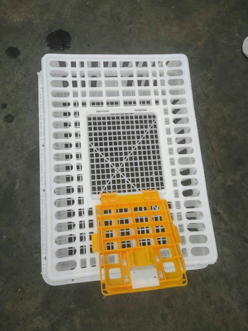 鸡鸭禽类运输笼周转框活鸡活鸭熟料原包料熟料
