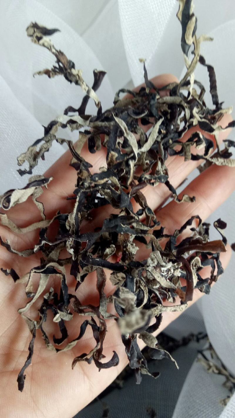 食用菌干货，丝长无杂干度好